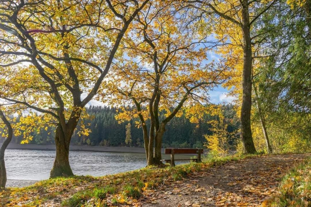 Lac Abane Au Lac ビュートゲンバッ エクステリア 写真